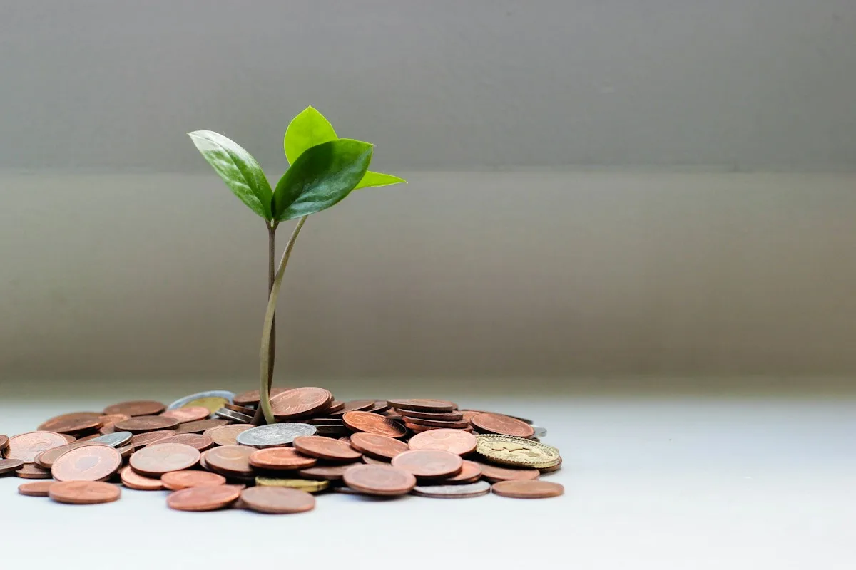 Financiamiento y capital de trabajo para empresas
